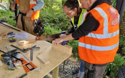 GeM spends time with SPAB Ireland